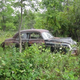 Illustration for article titled Wisconsin Rust Trip Redux: 50 Chevy Still In The Woods